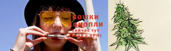мдпв Волосово