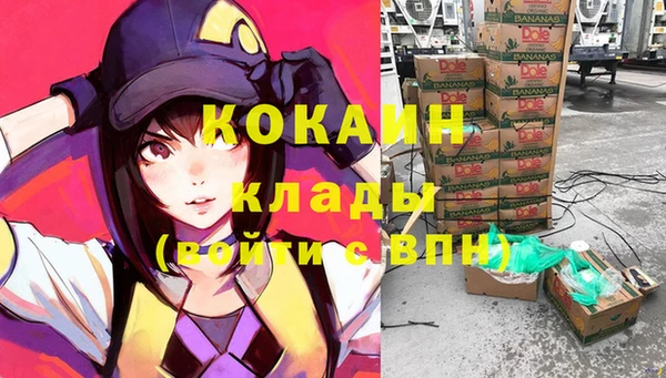 мдпв Волосово
